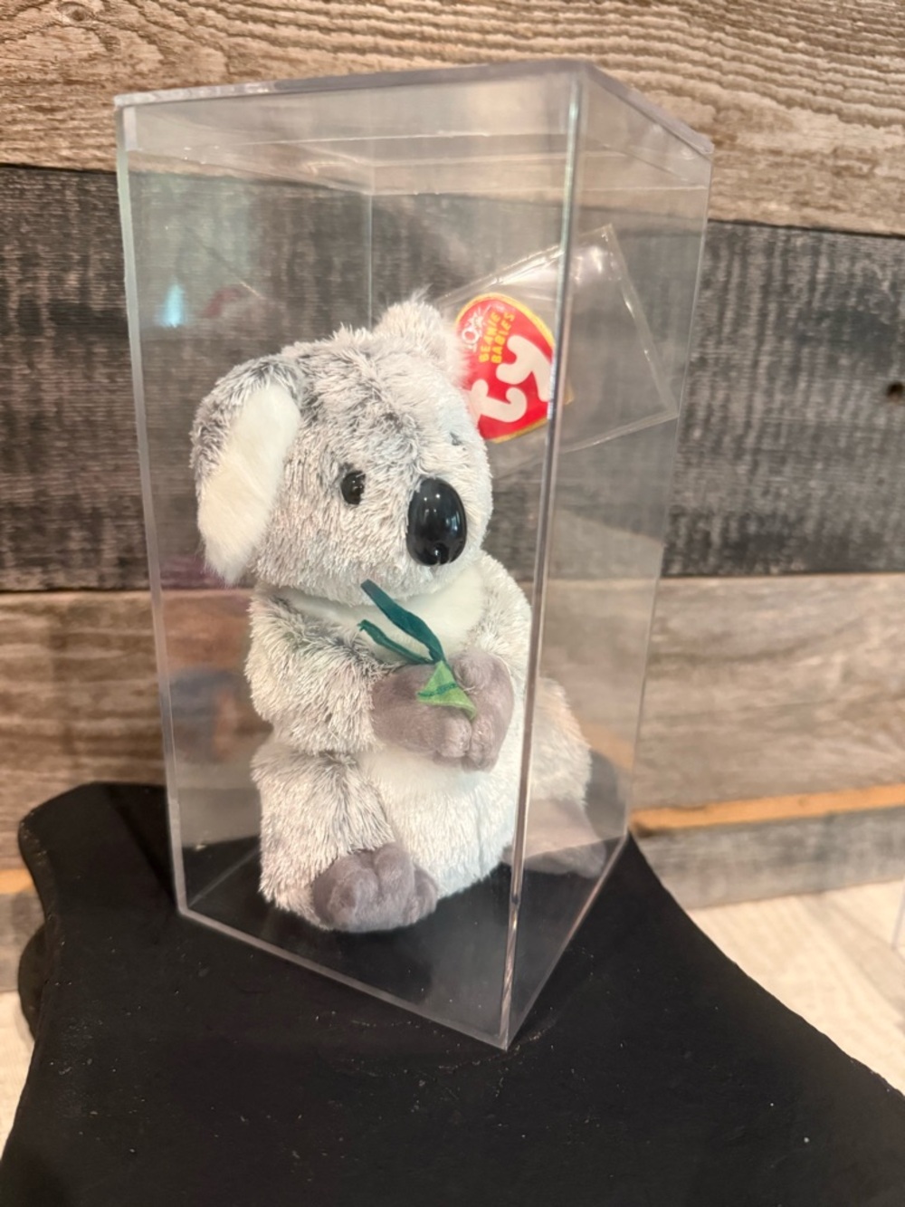 TTy Beanie Baby “Bonzer” Koala – DOB 7/28/2003 – Plush w/ Tag/Clear Display Case - Picture 8 of 8